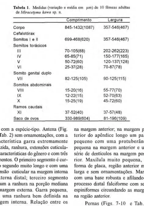 Tabela 1. Medidas (variação e média em um) de 10 fêmeas adultas  de Miracetyma kawa sp