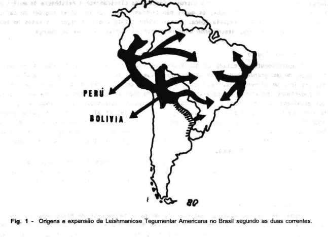 Fig. 1 - Origens β  expansão da Leishmaniose Tegumentar Americana no Brasil segundo as duas correntes