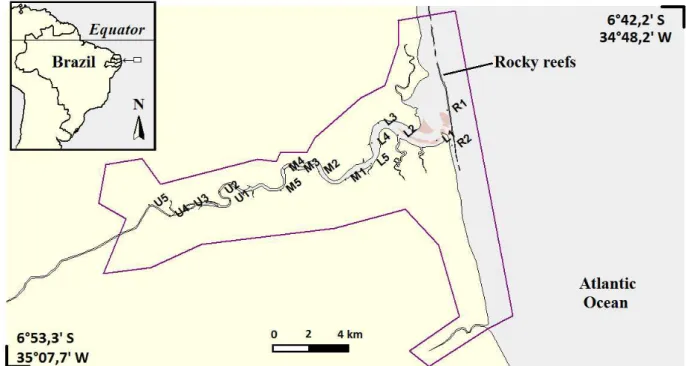 Figura  2:  Mapa  do  Estuário  do  Rio  Mamanguape,  Paraíba,  Brasil,  evidenciando  os  pontos  de  coleta