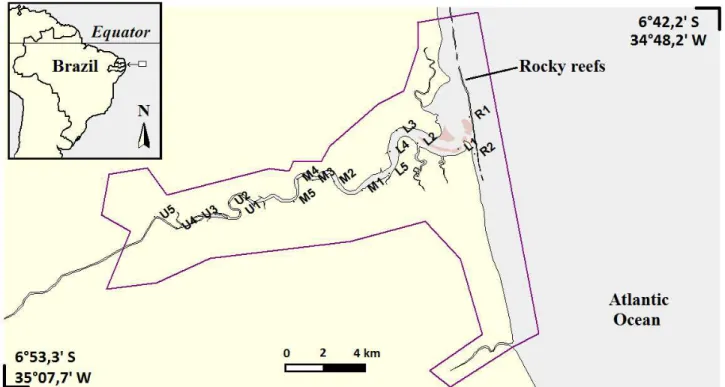 Figura  1:  Mapa  do  Estuário  do  Rio  Mamanguape,  Paraíba,  Brasil,  evidenciando os pontos de coleta
