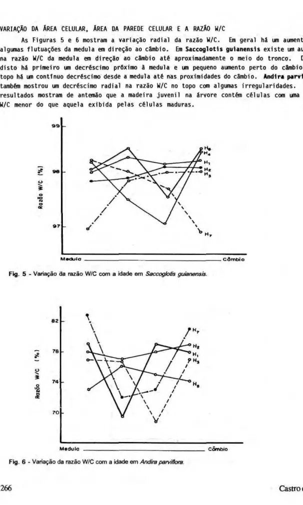 Fig.  5 - Variação da razão W/C com a idade em  Saccoglotis guianensis. 