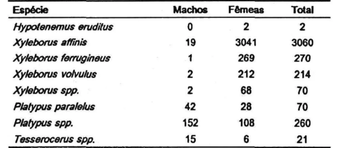 Tabela   2 .  Número total de machos e fêmeas nas espécies das famílias Scolytidae e Platypodldae coletados  e m  dezesseis essências florestais