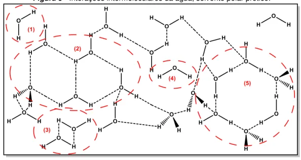 Figura 5 - Interações intermoleculares da água, solvente polar prótico. 