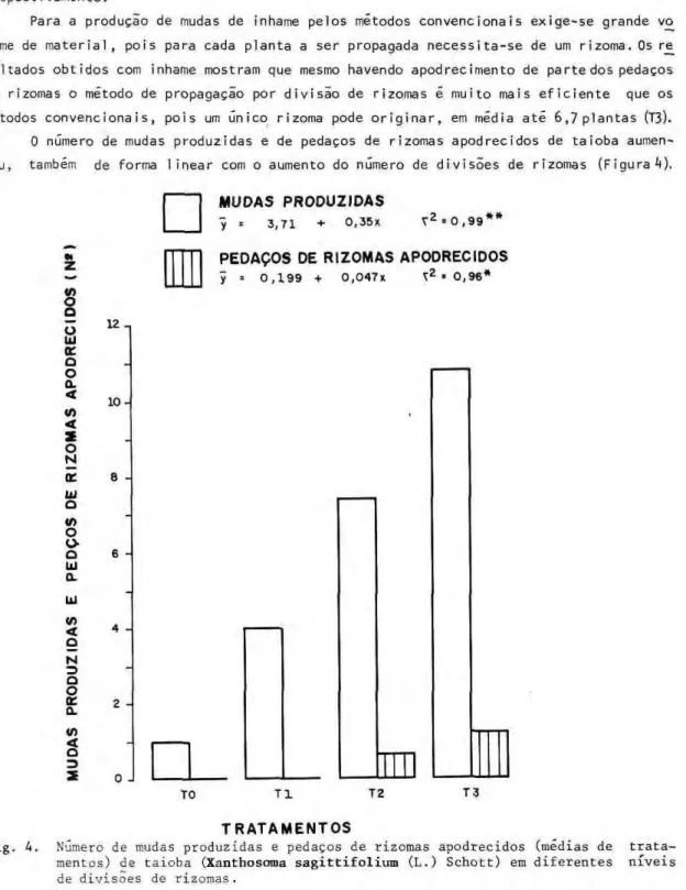 Fig. 4. Numero de mudas produzidas e pedaços de rizomas apodrecidos (médias de trata- trata-mentos) de taioba (Xanthosoma sagittifolium (L.) Schott) em diferentes níveis  de divisões de rizomas