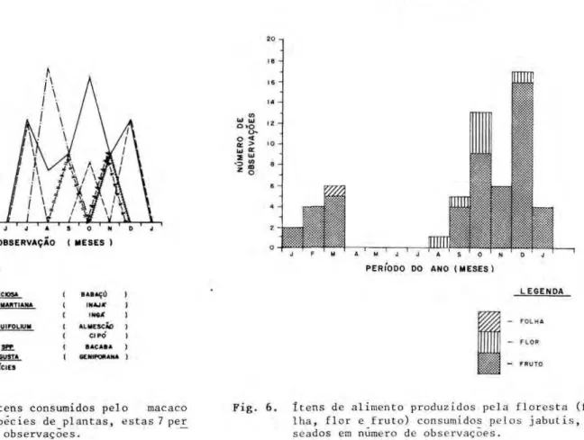 Fig. 5. Percentagem dos ítens consumidos pelo macaco  prego. Das 12 espécies de plantas, estas 7 pejr  fizeram 89,4% das observações