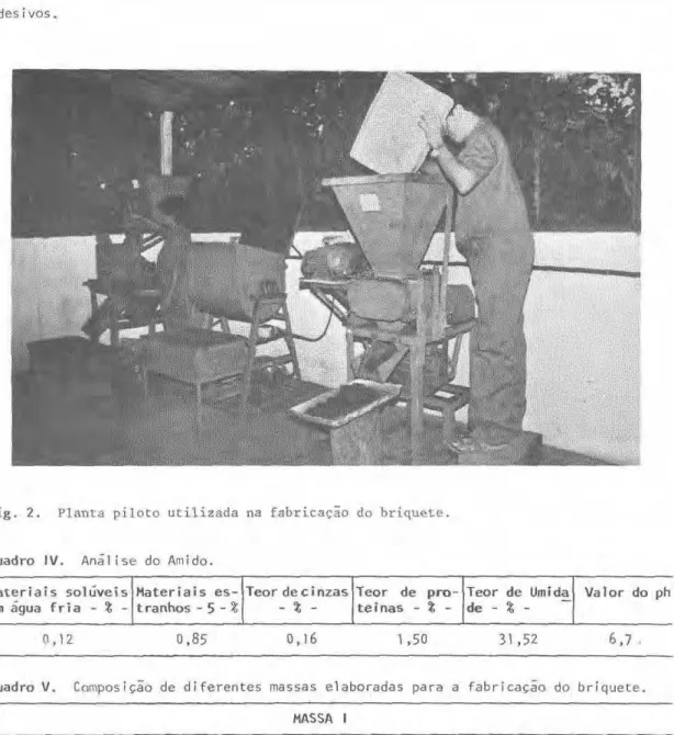 Fig.  2 . Planta piloto utilizada na fabricação do briquete. 