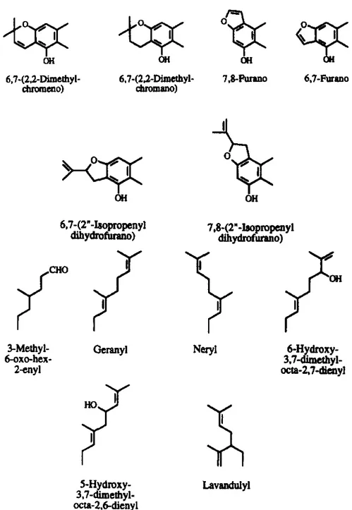 Figura  3:  padrão  de  prenilação  encontrado  nos  flavonóides  (BARRON  &amp;  IBRAHIM,  1996)