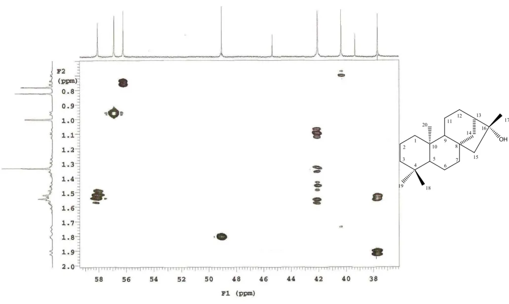 Figura 20: Expansão do espectro de correlação 1 H x 13 C gHSQC (500 e 125 MHz) de XLR&#34;1 em CDCl 3 