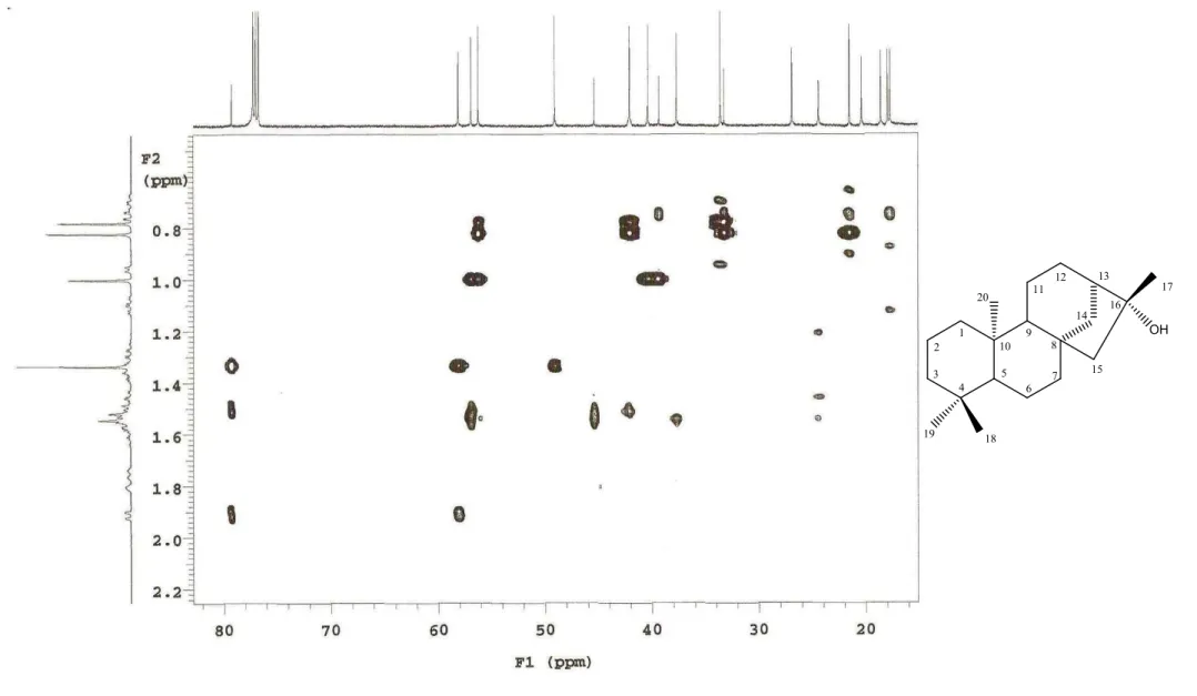 Figura 22: Expansão do espectro de correlação 1 H x 13 C gHMBC (500 e 125 MHz) de XLR&#34;1 em CDCl 3 