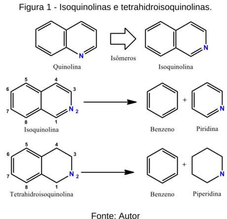 Figura 1 - Isoquinolinas e tetrahidroisoquinolinas. 