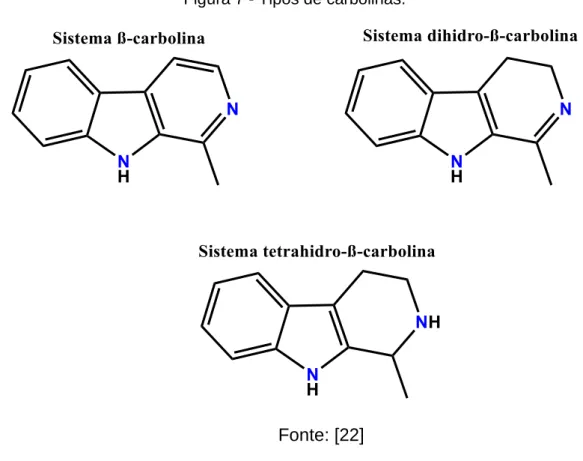 Figura 7 - Tipos de carbolinas. 