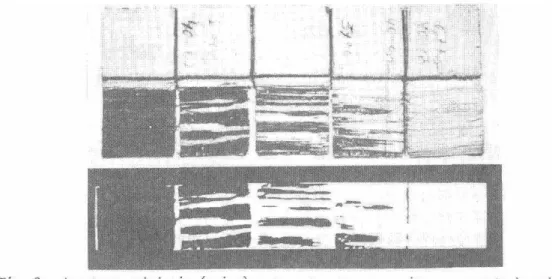 Fig.  2 . Amostras originais (acima) e como aparecem no  m o n i t o r no momento da medição (abai  x o ) , mostrando diversas quotas de retenção de fibras (da esquerda para a direi 