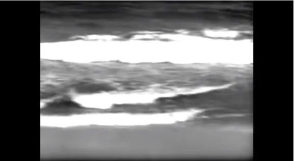 Figura 10: Cena final do filme de Glauber Rocha, em 1964.  Panorâmica do  continente para o mar
