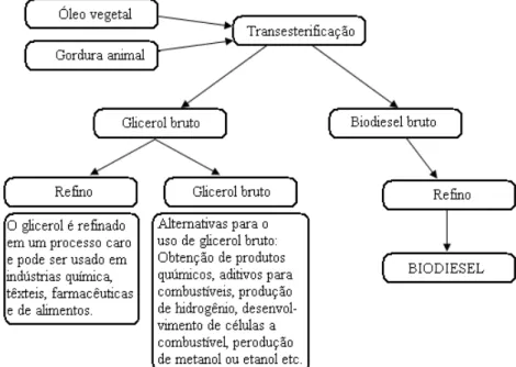 Figura 7: Esquema básico da geração de glicerol e suas rotas alternativas[87] 
