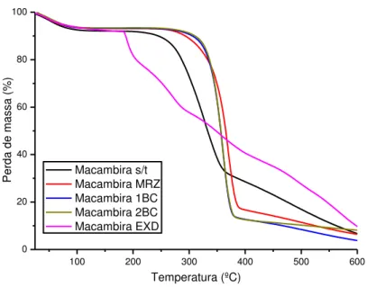 Figura 16: Perfil de comportamento térmico das amostras de macambira 