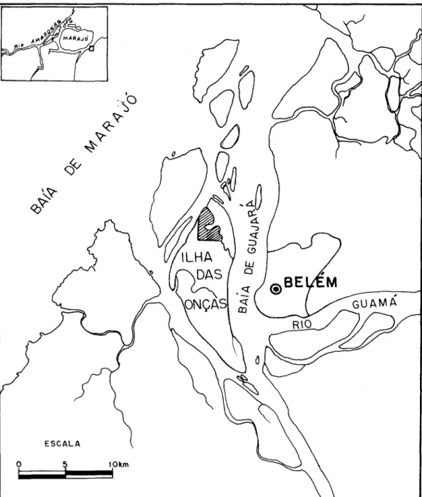 Fig. 1. Mapa da Ilha das Onças, indicando o local da propriedade da família estudada.  Fonte: Folha SA-22-X-D, Mosaico Semicontrolado de Radar, Projeto Radambrasil,  2 a