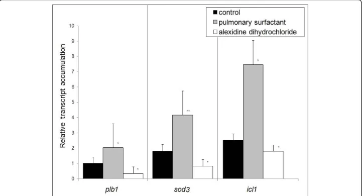 Figure 2 Real-Time RT-PCR. Analysis of the transcript level of Paracoccidioides brasiliensis genes related to oxidative stress - superoxide dismutase (sod3); metabolism - isocitrate lyase (icl1) and hydrolytic enzyme phospholipase B (plb1)