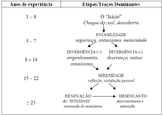 Figura 2- Etapas da carreira docente. 