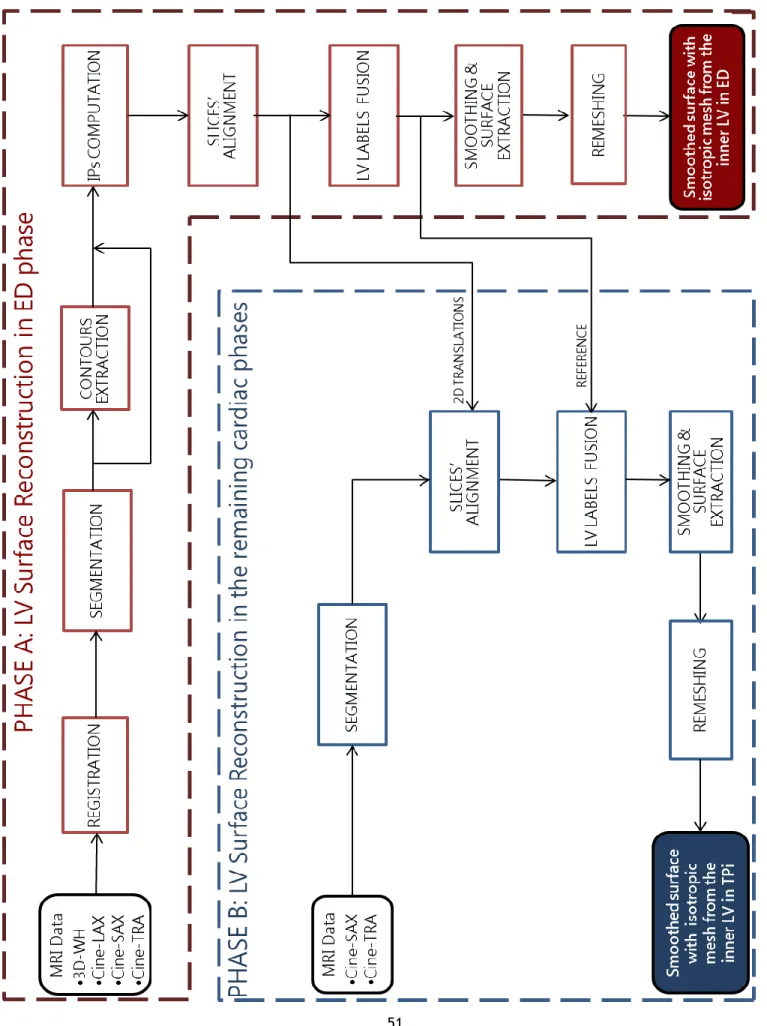 Figure 5.2 - Pipelined framework developed for the geometrical reconstruction of the inner LV anatomy in 11 phases of the cardiac cycle (LV: Left Ventricle, ED: End Diastole IPs: Intersection Points, TP: Time Point).