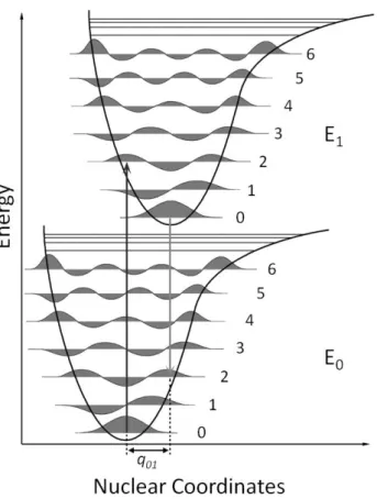 Figure  1.15  – Franck‐Condon  principle  and  vertical transitions.  The  potential  energy  curves  of  ground‐state  (E 0 )  and the first excited state (E 1 ) are represented as function of the relative nuclear coordinates. The energy minima in  each c