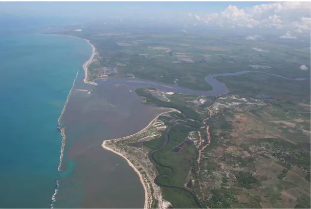 Figura 01. Vista aérea do Estuário do Rio Mamanguape, PB. Foto: Dirceu Tortorello,  2008