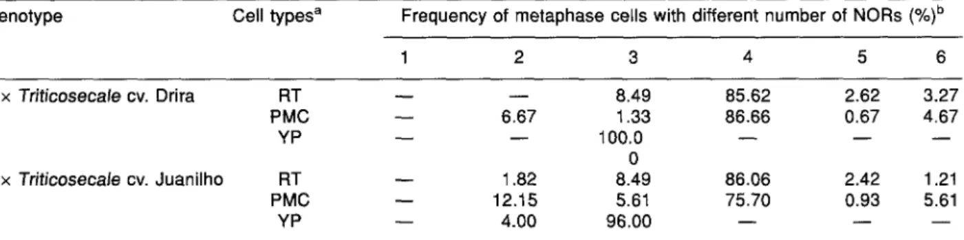 Figure  lc),  indicating  the  full  expression  of  1R  NOR  along  with  the  activity  of  1B  and  6B  NORs