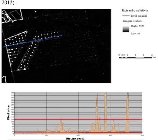 Figura 4 - Extração seletiva e perfil espacial demonstrando o brilho do pixel aprimorado pelo  algoritmo  textura  (variância)  no  canal  infravermelho