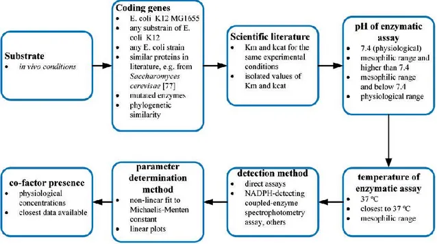 Figure  4.  Procedure  for  the  manual  curation  of  enzyme  kinetics  data  from  scientific literature