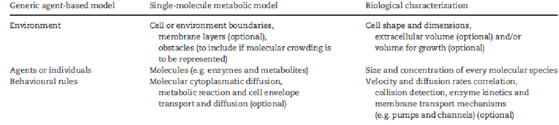Table 1 . Essential components of a single-molecule metabolic model. A parallelism between the generic composition of an agent- agent-based  model  and  the  biological  information  to  be  incorporated  in  a  single-molecule  model  is  established