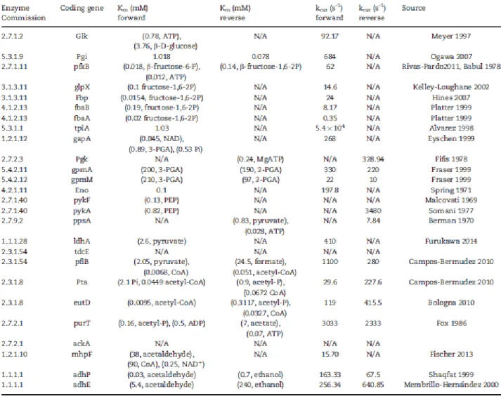 Table 8.  Kinetic parameters of enzymes involved in the glycolysis pathway in  E.  coli 