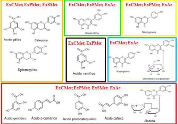Figur a  18:  Estruturas  químicas  dos  composto  fenólicos  encontrados  nos  extratos  ExCMet,  ExPMet,  ExSMet e ExAc