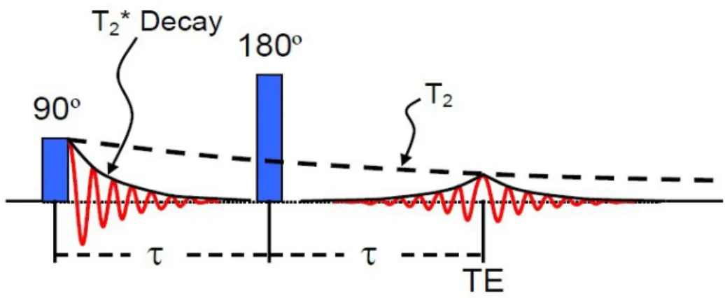 Figure 2.3: Echoes and echo time. Echo formation with a combination of a 90º and 180º RF pulses