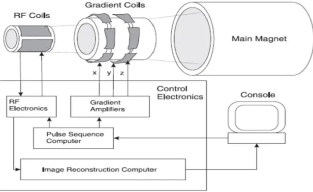 Figure 2.5: Schematic representation of the main components in a MRI system. Adapted from [35].