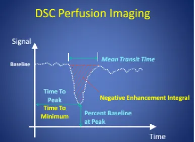 Figure 4.1: DSC-MRI signal curve with representation of semi-quantitative perfusion parameters