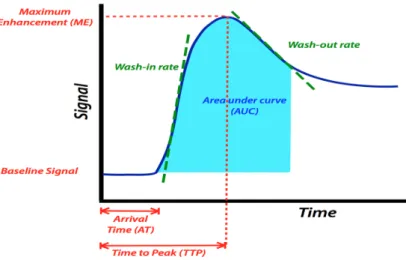 Figure 4.2: DCE-MRI signal curve with representation of semi-quantitative perfusion parameters