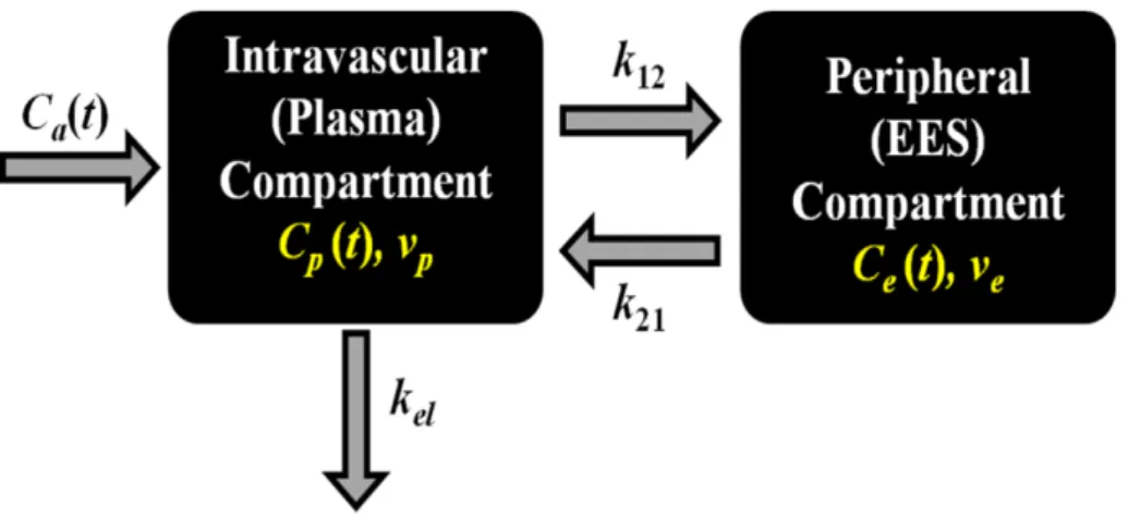 Figure 4.3: General representation of a two-compartment model used to describe the inherent physiology for perfusion param- param-eter derivation