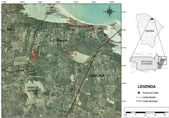 Figura 2.  Localização dos principais pontos de amostragem fl orística no distrito de Pecém (São Gonçalo do Amarante, Ceará)
