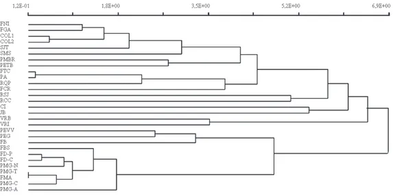 Figura 4.  Dendograma mostrando os grupos obtidos pelo Coefi ciente de Similaridade de Jaccard e usando média de grupo como 