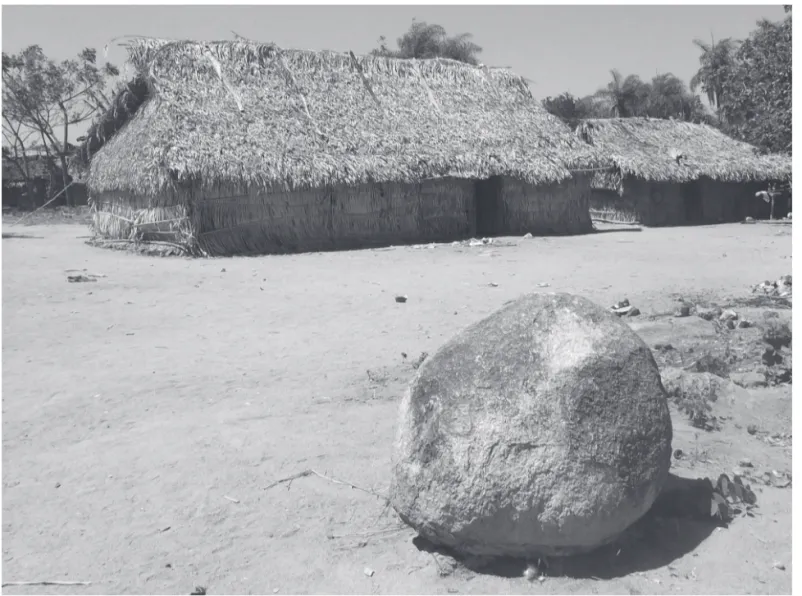 Figura 6. Casas tradicionais Mebêngôkre feitas com palha de babaçu (Attalea speciosa Mart.).