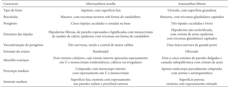 Tabela 1. Caracteres potencialmente significativos na caracterização das espécies de Alternanthera tenella Colla e Amaranthus blitum Linnaeus.