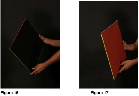 Figura 16                                                                  Figura 17