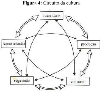 Figura 4: Circuito da cultura 