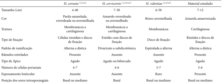 Tabela 1.  Comparativo das características diagnósticas entre espécies morfologicamente similares à Hypnea cornuta