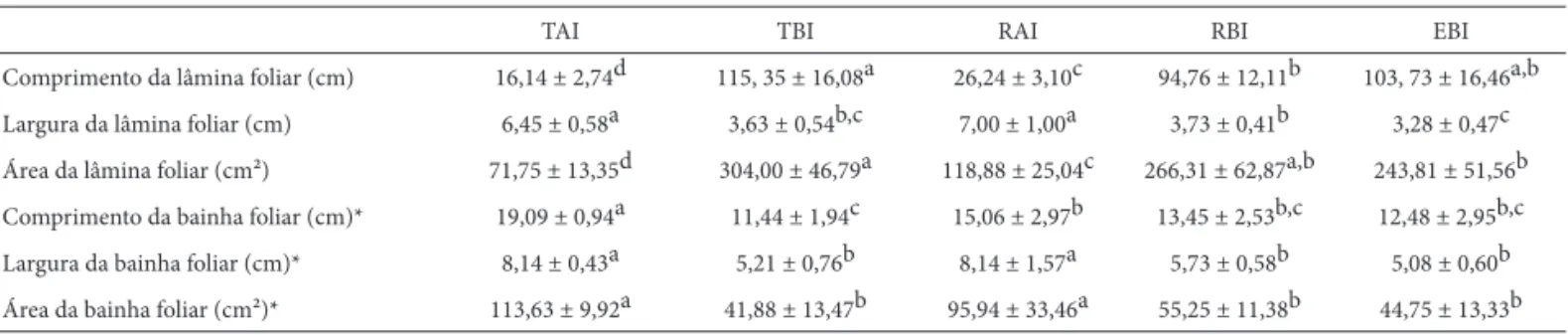 Tabela 2.  Comprimento, largura e área da lâmina e bainha foliar de Aechmea lindenii (E