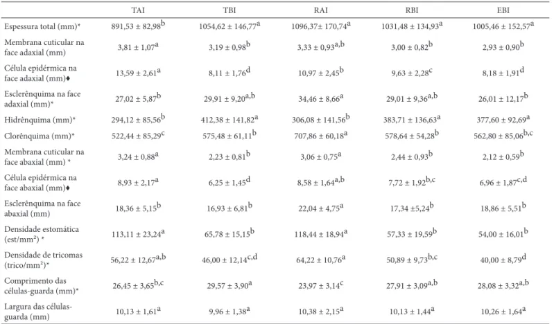 Tabela 3.  Dados quantitativos da lâmina foliar de Aechmea lindenii (E. Morren) Baker var