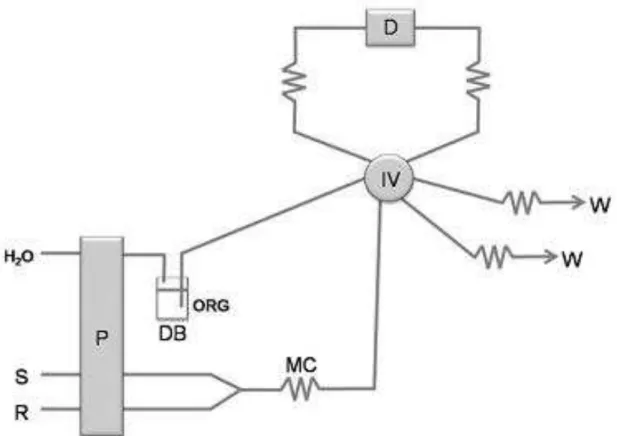 Figura 12: configuração do sistema iterativo de reversão. P: unidade de propulsão; 
