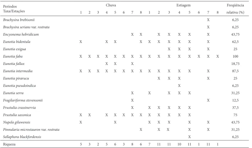 Tabela 2.  Riqueza e freqüência relativa dos táxons identifi cados por estação de amostragem no período de chuva (jan /2004) e estiagem (jul/2004) no  rio do Salto,  Minas Gerais.