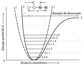Figura  2.3-  Curvas  de  energia  potencial  de  uma  molécula  diatómica:  (1)  modelo  do  oscilador  harmônico  e  (2)  modelo  do  oscilador  anarmônico