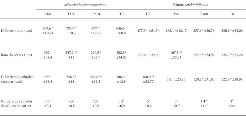 Tabela 3.  Espessura do eofi lo (μm) de Sebastiania commersoniana (Baill.) L. B. Sm. &amp; Downs