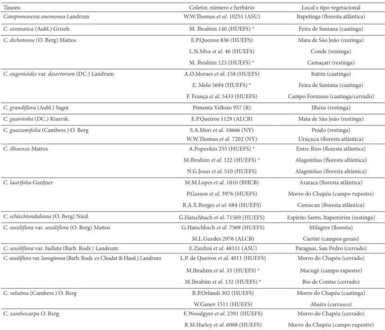 Tabela 1.  Lista de espécimes de Campomanesia Ruiz &amp; Pavón analisados. (*) representando os materiais frescos obtidos em campo, Bahia.